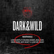 BTS - DARK&WILD / 1st Full Album