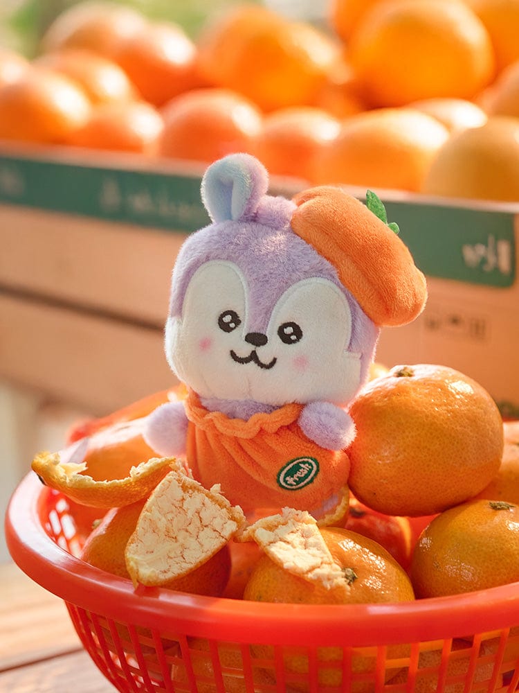 BT21 - baby plush / BT21 Orange party