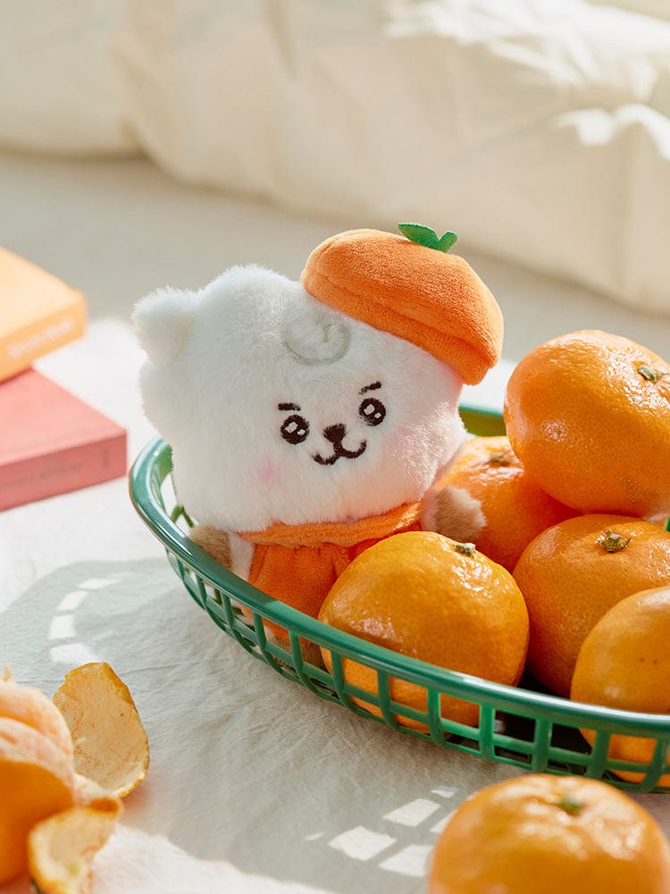 BT21 - baby plush / BT21 Orange party